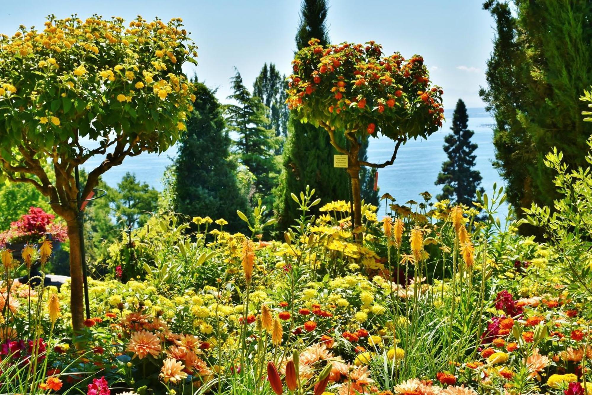 Holiday Inn - The Niu, Flower Konstanz By Ihg Exterior foto